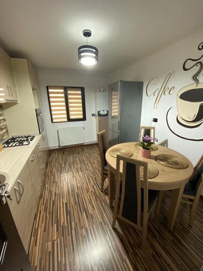 Apartament Exclusive Targu Ocna Экстерьер фото
